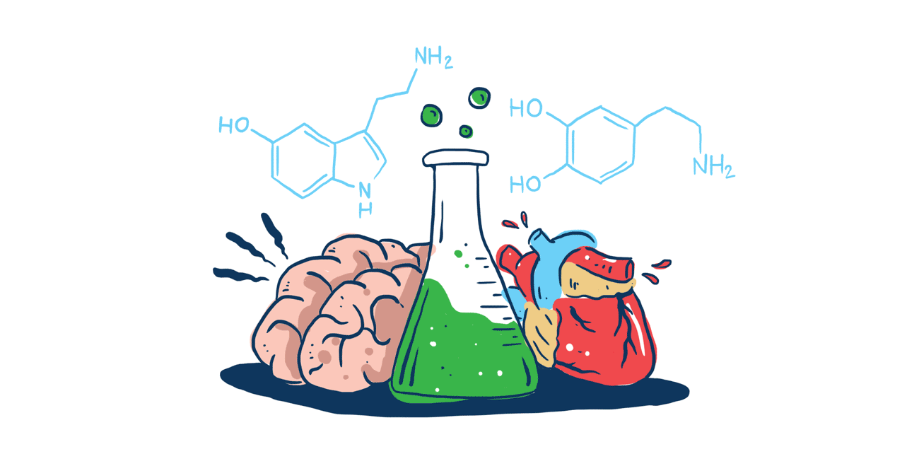 Qué tan relevante son las hormonas? | by Annie Cuevas Marín | Medium