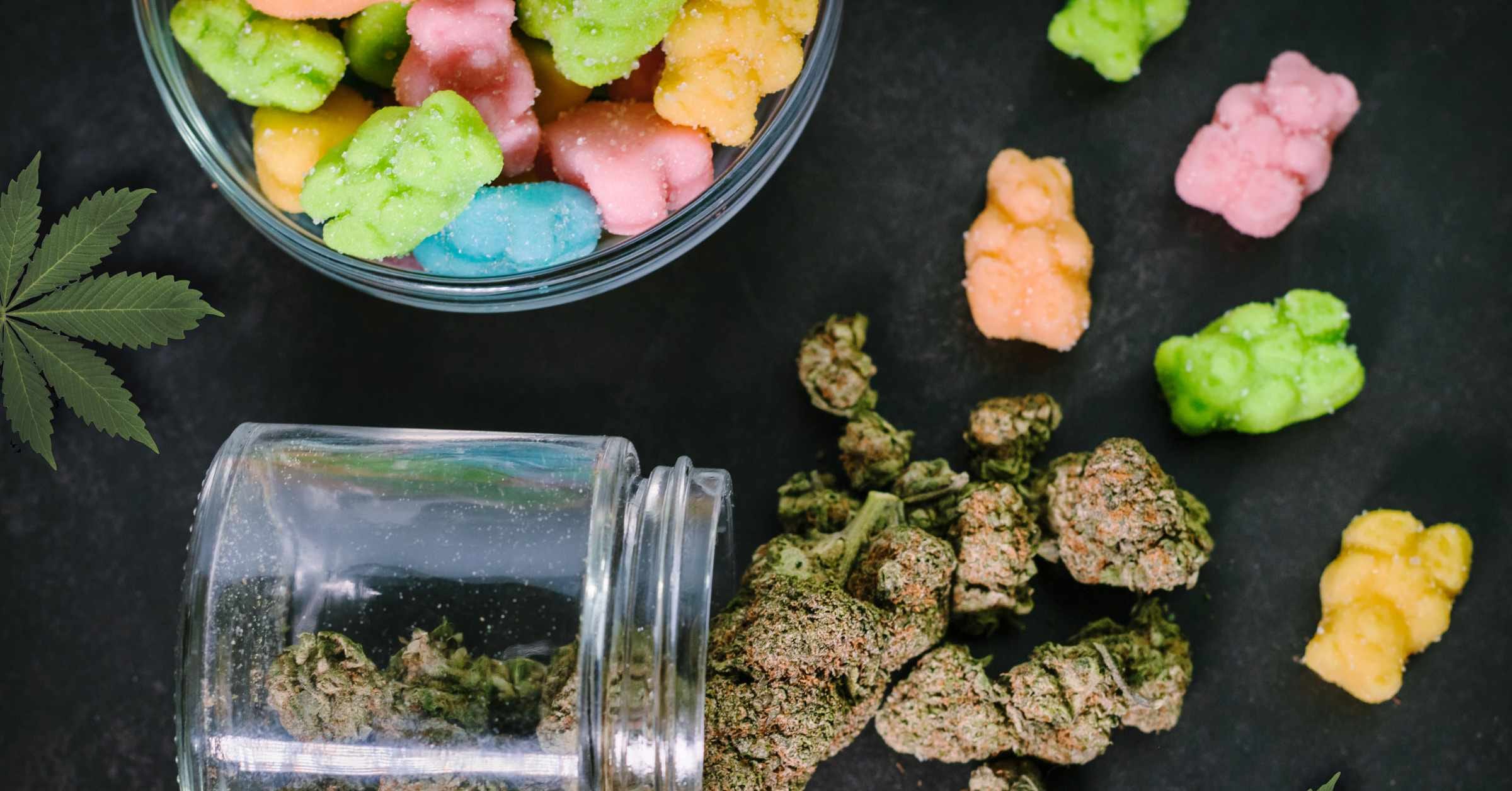 Can I Bring Edibles in My Checked Bag? Essential Travel Tips