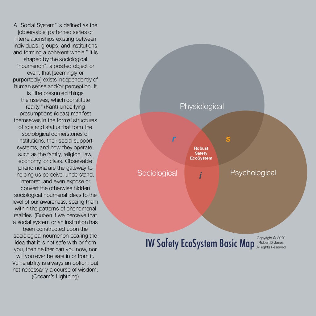 SSI Thought Letter: Vol. 1 Issue 15: Amy Edmondson Moves Toward  SociologicalSafety® | by Rob Jones | Medium