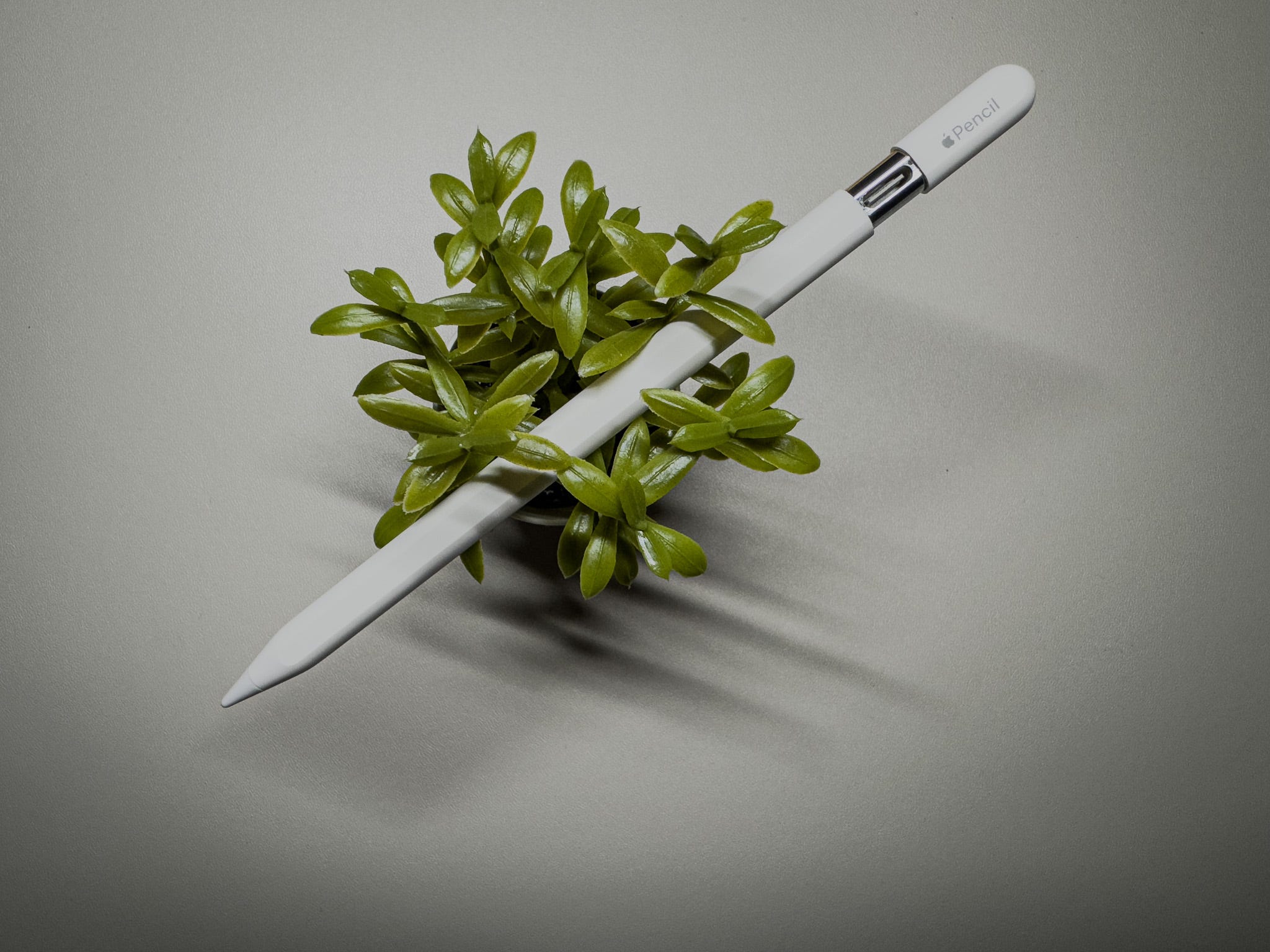 Apple Pencil (USB-C) — My Review (Part I) | by Tobias Hedtke