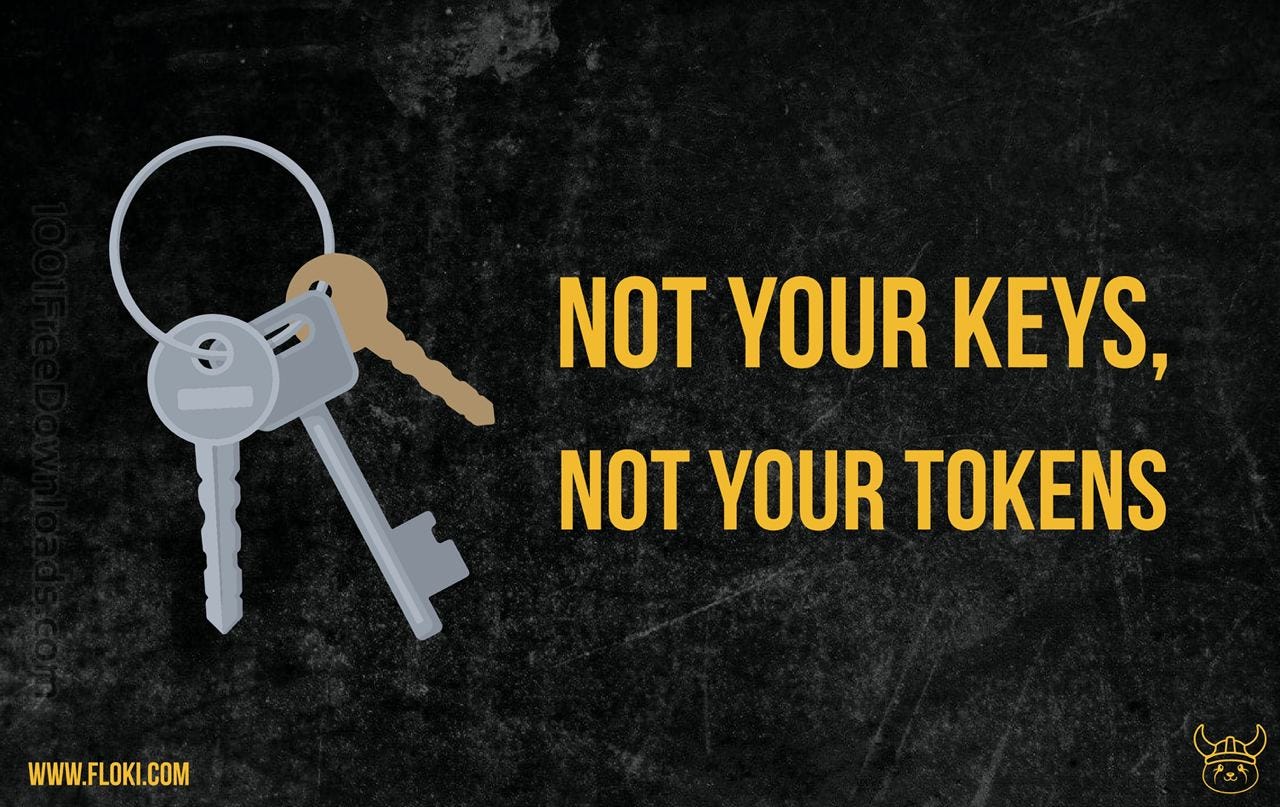 NOT YOUR KEYS, NOT YOUR TOKENS. Crypto is in uncharted territory right… |  by FLOKI | Medium