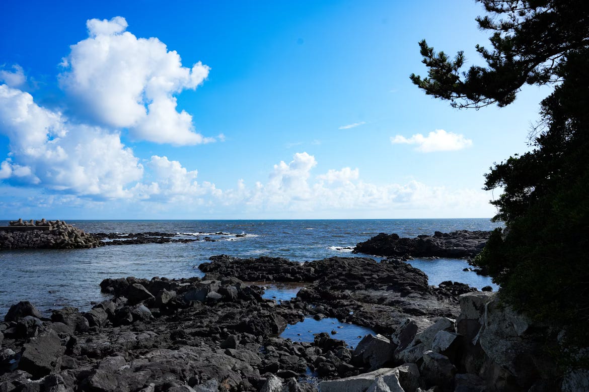 The Joy of Missing Out: Embracing JOMO vs FOMO | by Productivity Guy |  Medium