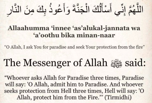 May Allah (SWT) allow us to reach Paradise and attain all the pleasures within it. Aameen