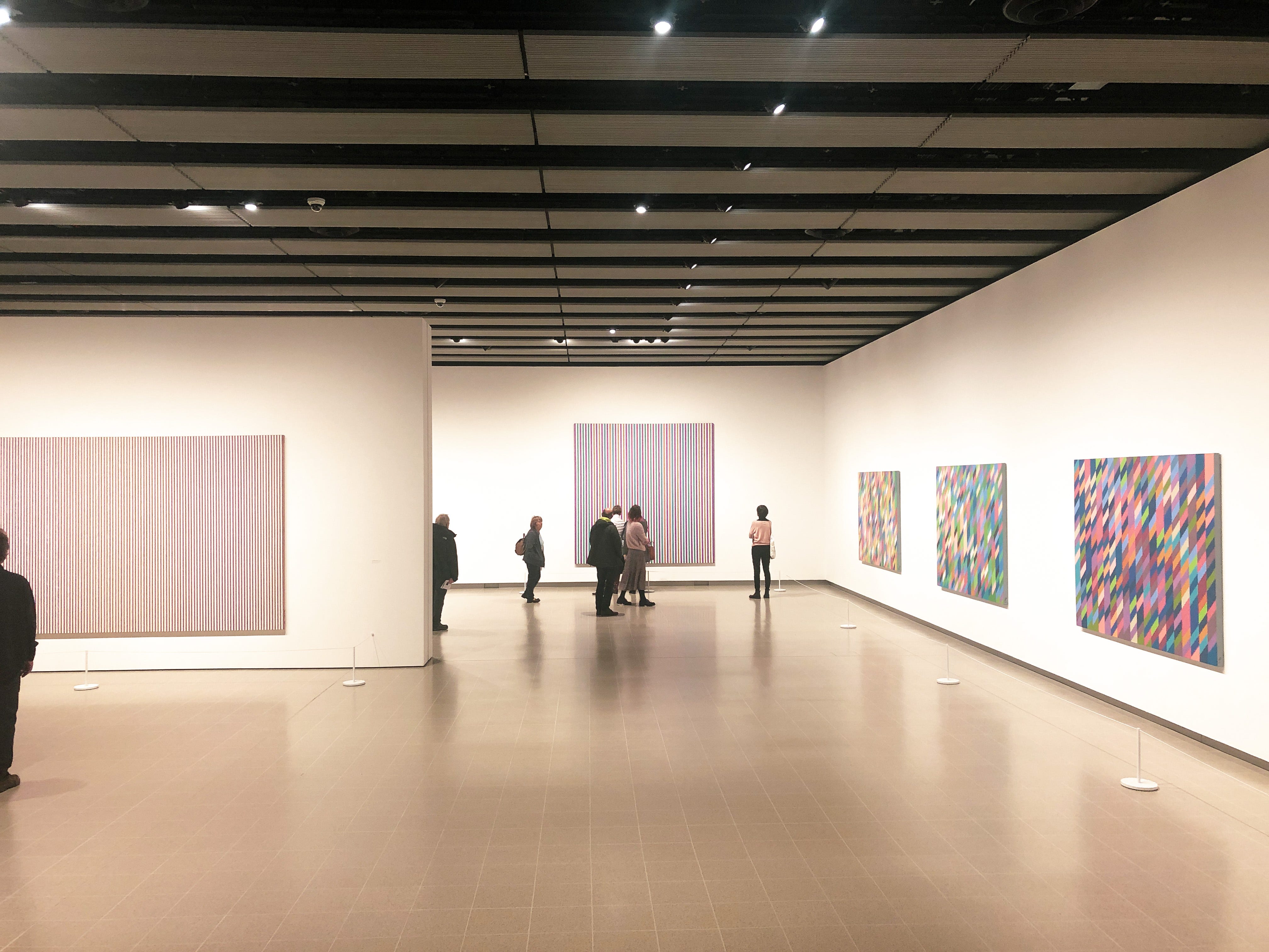 Bridget Riley Hayward