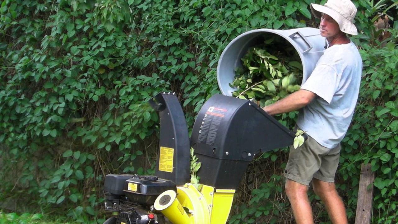 Choosing The Right Plant Grinder. As soon as the garden is a little big |  by EileenHobbs | EileenHobbs | Medium