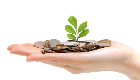How to Grow your Money Tree.. You may have heard it a thousand times | by  Eby Akhigbe | Medium