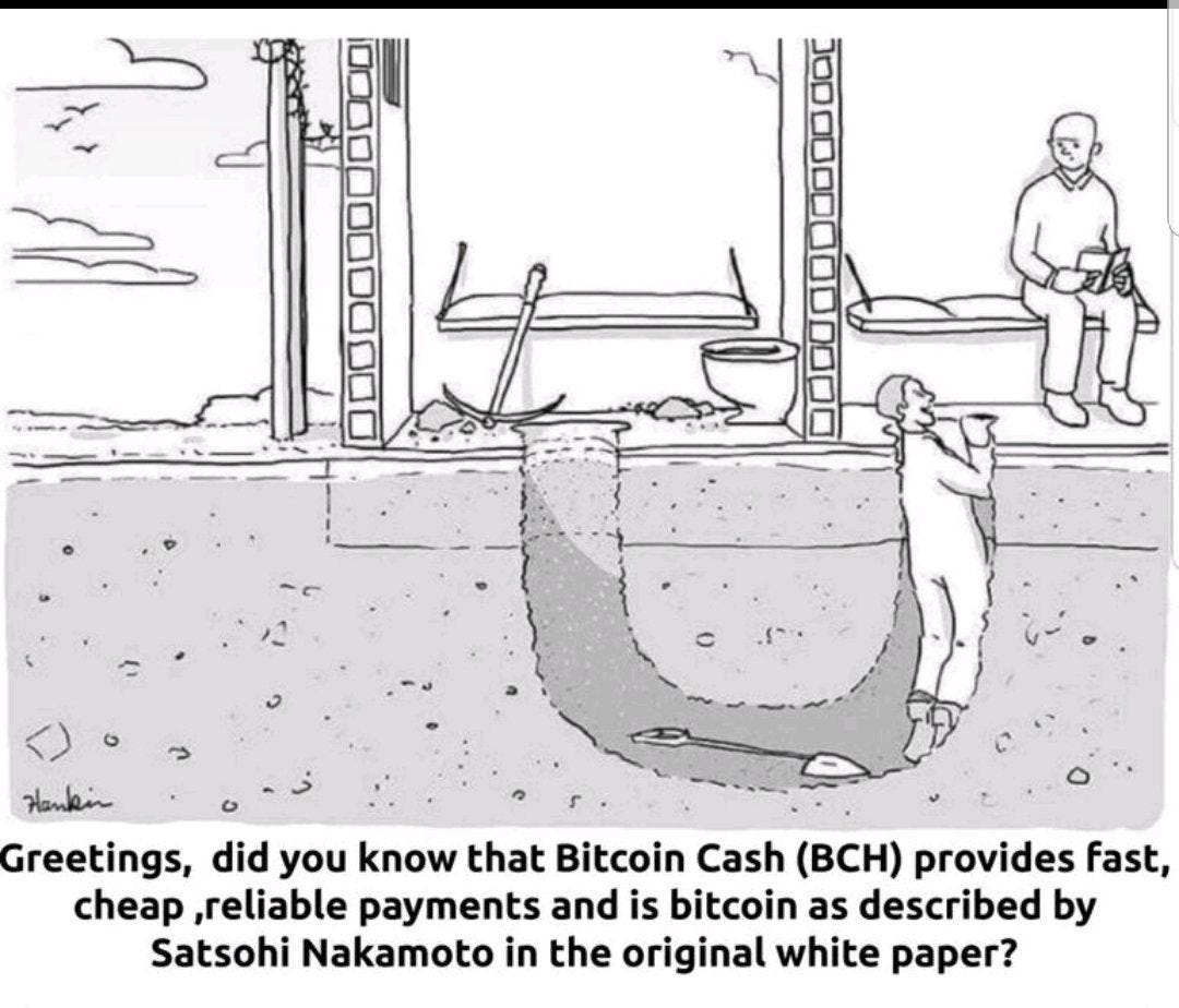 BCH is a fiat money. This is the text of what I prepared in… | by Jimmy  Song | Medium