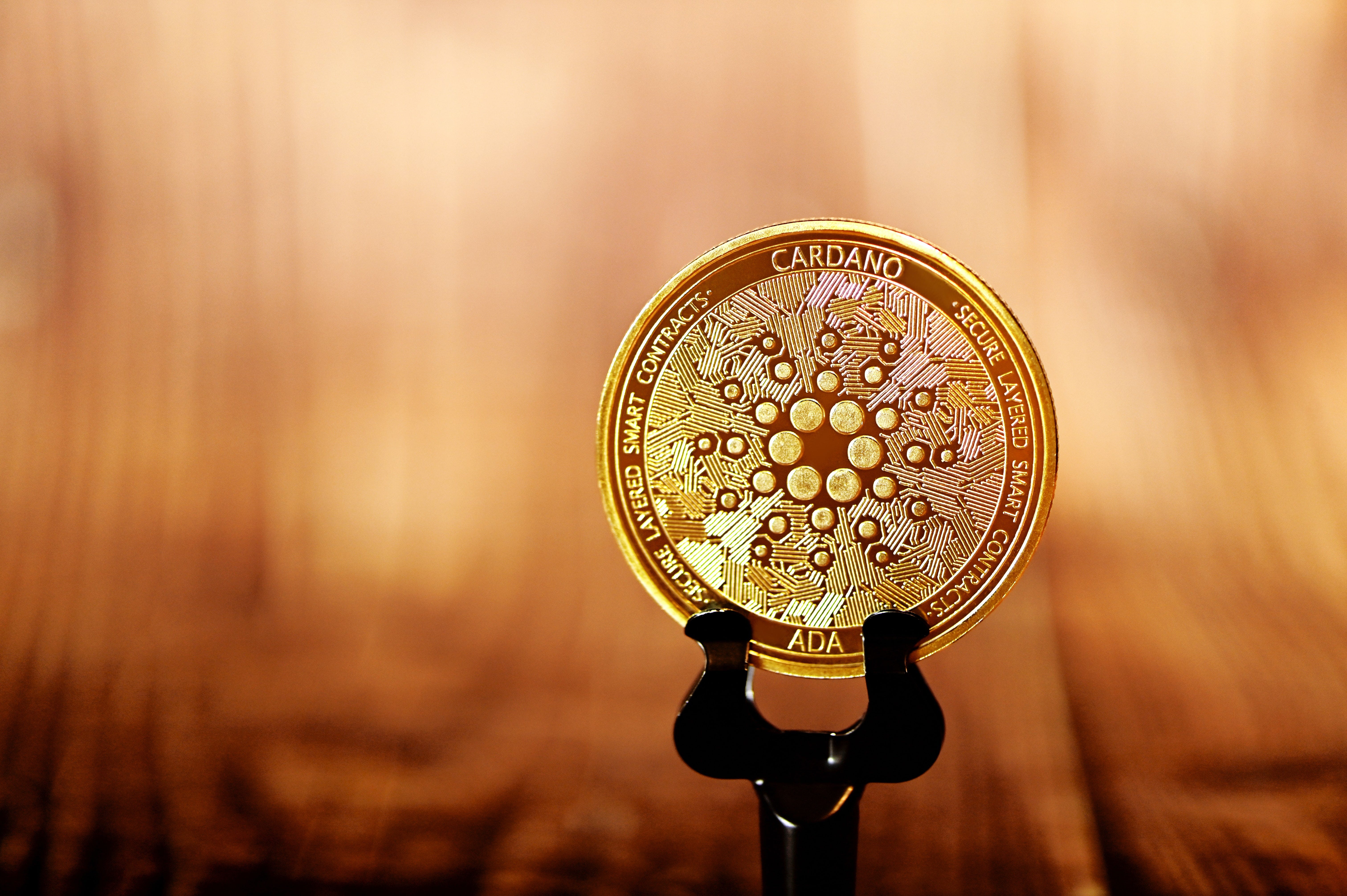 Cardano (ADA) falls as price forecasts are quite bullish | by Mr. Plan ₿ |  Coinmonks | Medium