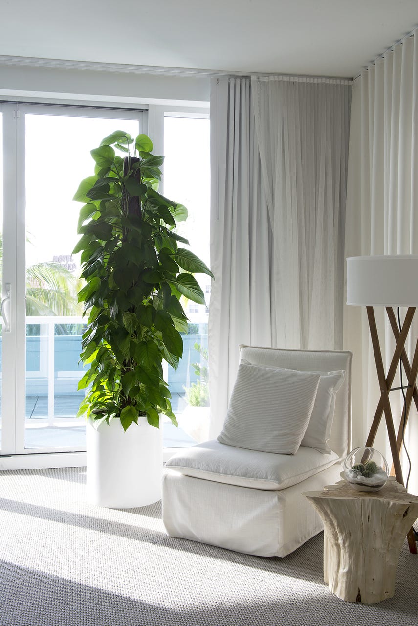 plant wall shelves indoor Window Plant Shelf 3 Tiers – JDM Wood Creations