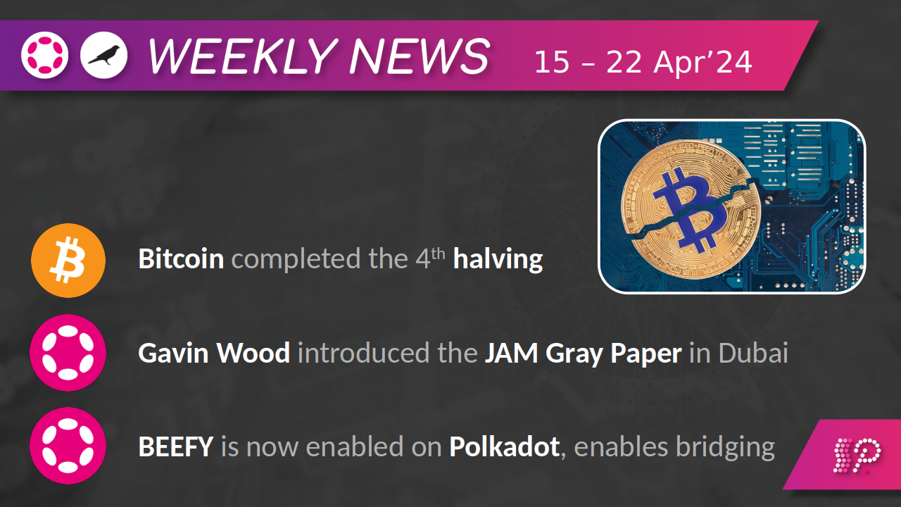 Weekly News from Polkadot & Kusama #126: 4th Bitcoin Halving Completed | by  Polkadotters | Kusama & Polkadot validators | Medium