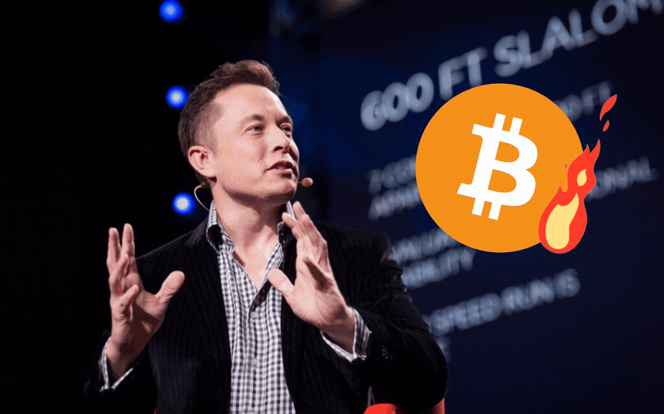 Tesla and Elon Musk Buy Bitcoin — This is End Game Now | by Isaiah McCall |  Yard Couch | Medium