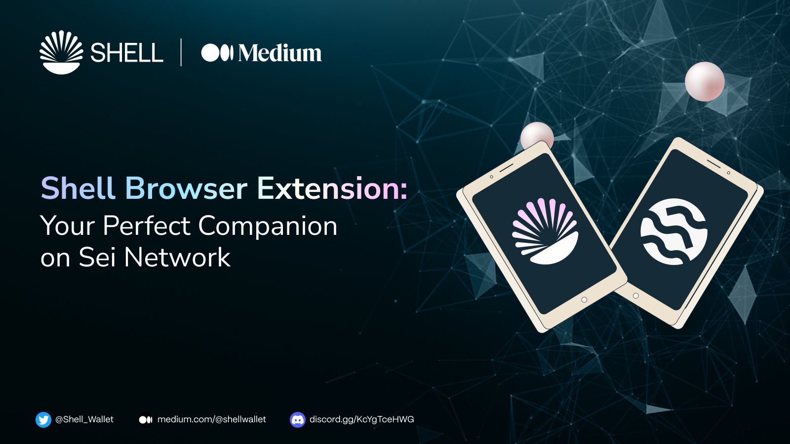 Shell Browser Extension: Your Perfect Companion on Sei Network | by Shell  Wallet 🐚 | Medium