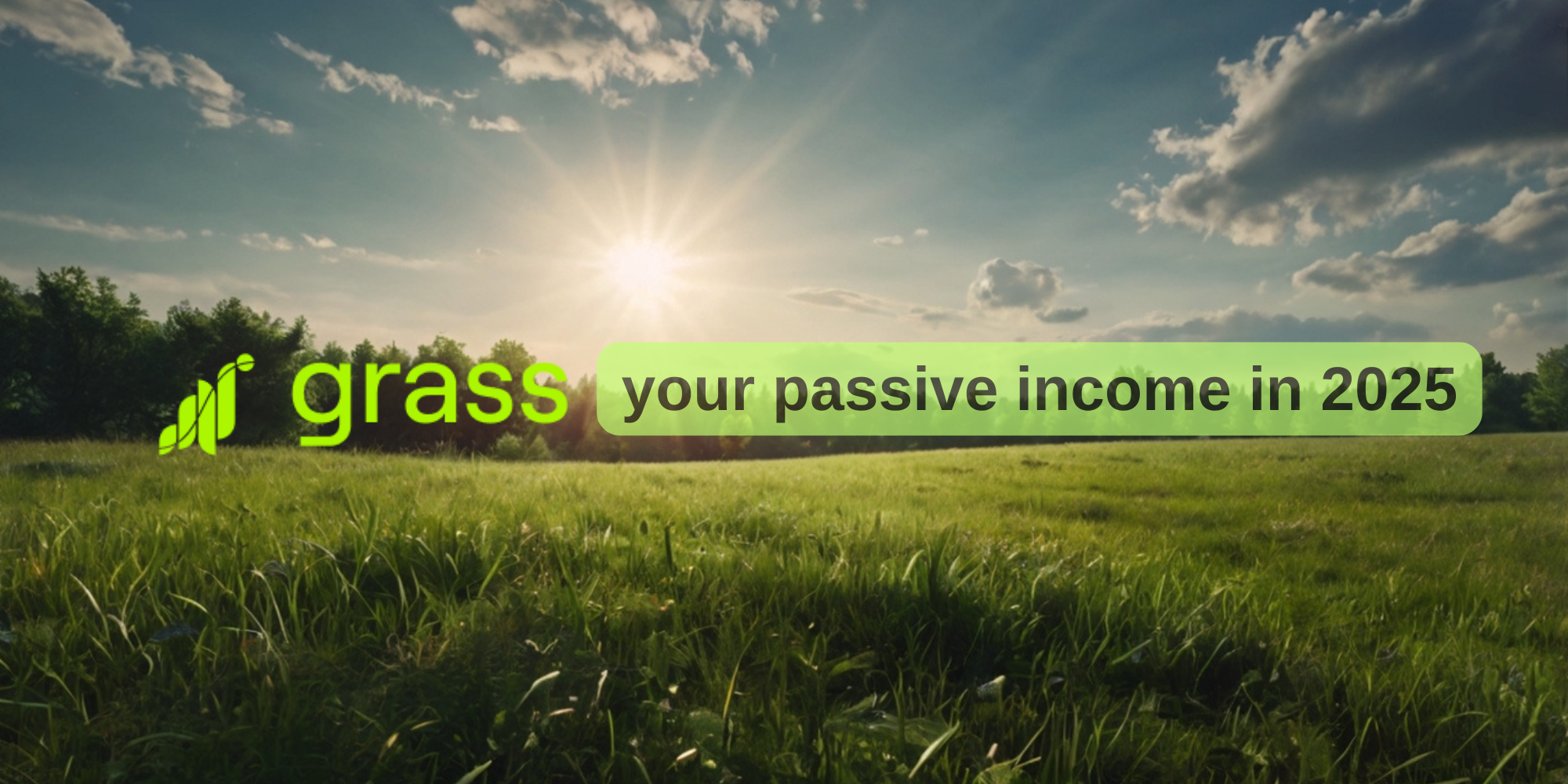 Passive Income in 2025 Without Investments. The GRASS Node Revolution | by  Rubbi Bee | Medium