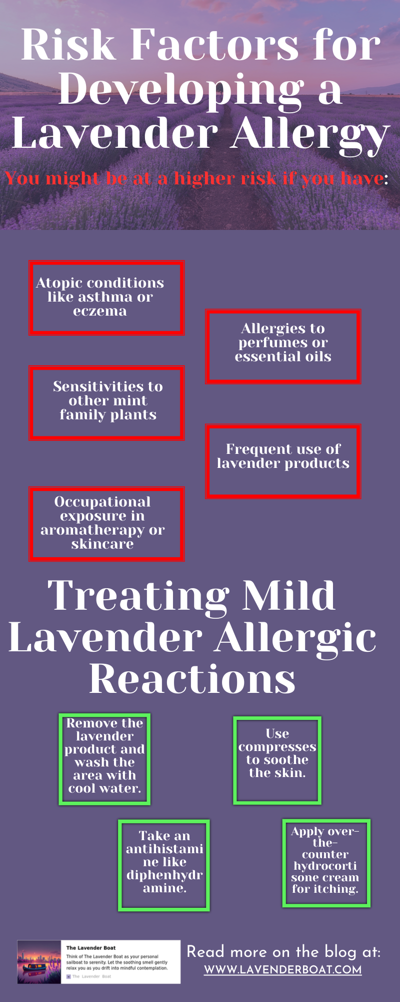 Lavender Allergies:-Treatments | Lavender Boat | | Medium