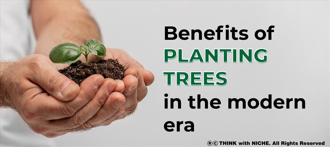 Benefits Of Planting Trees In The Modern Era | by Think with Niche | Medium