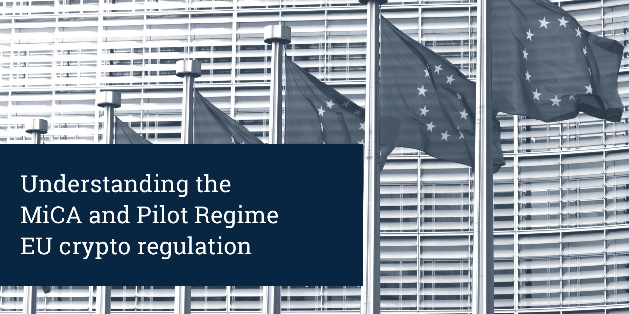 Relax, take it easy » : Understanding the MiCA and Pilot Regime crypto  regulation | by ADAN | Association pour le développement des actifs  numériques (ADAN) | Medium