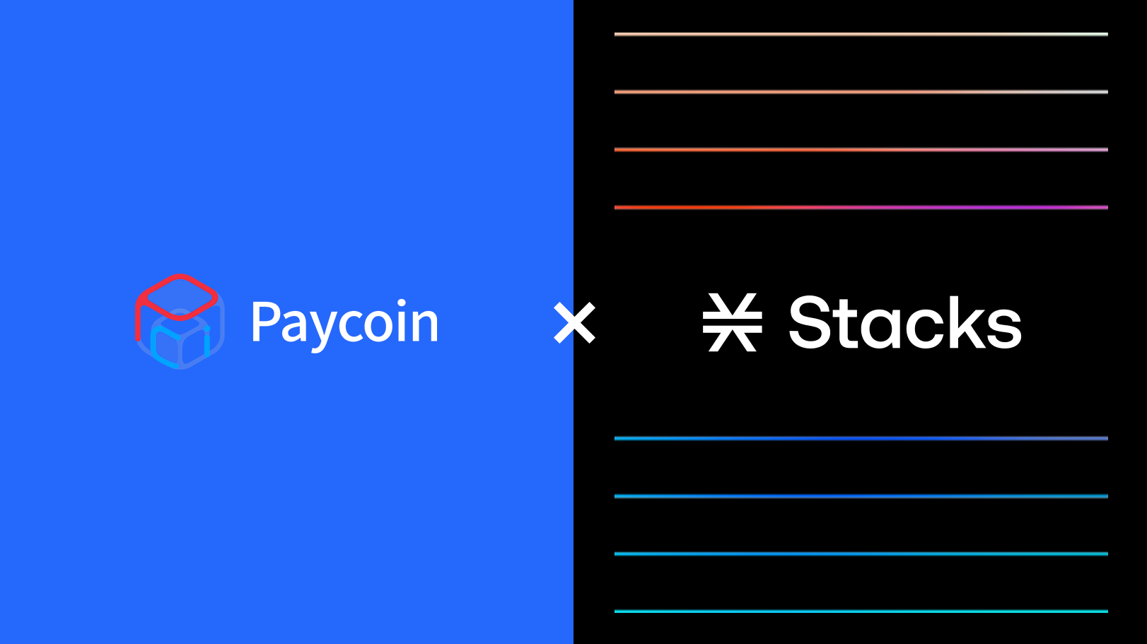 다날핀테크 페이코인, 스택스(Stacks) 도입을 통한 비트코인 생태계 진출 | by Paycoin (PCI) | Paycoin  Blog | Medium