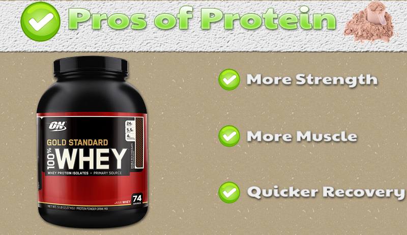 Can Protein Supplements Make You Fat? Myths Busted!