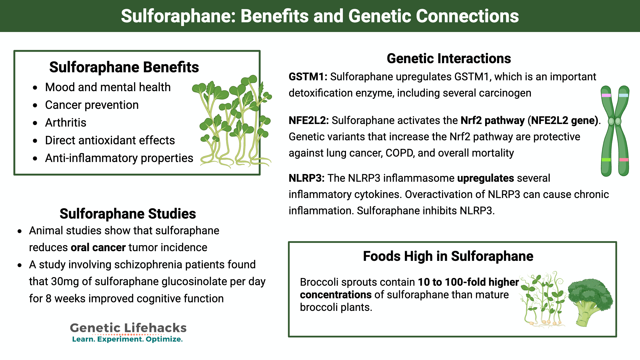 difference between glutathione and nac is nac the same as glutathione Effects of N-acetylcysteine, oral glutathione  (GSH) and a novel sublingual form of GSH on oxidative stress markers: A  comparative crossover study