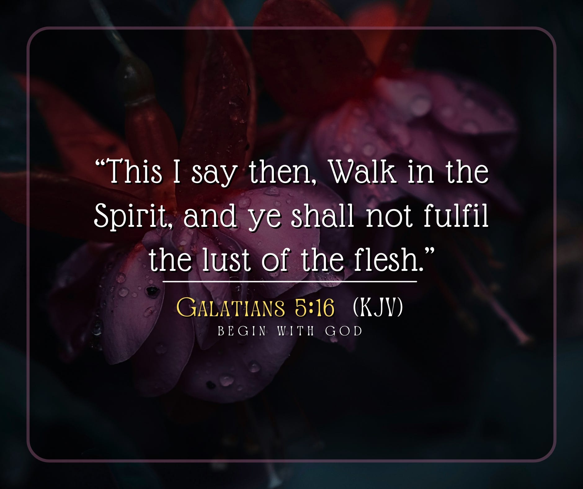 𝐒𝐩𝐢𝐫𝐢𝐭-𝐃𝐫𝐢𝐯𝐞𝐧. Walk in the Spirit; yield every fight