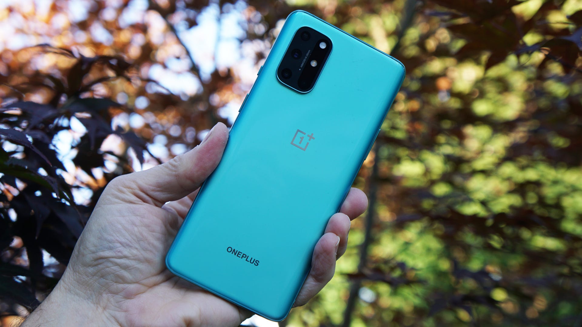 OnePlus 8T 128GB 8GB RAM　割れ OnePlus 8T 128GB 8GB RAM 割れ 