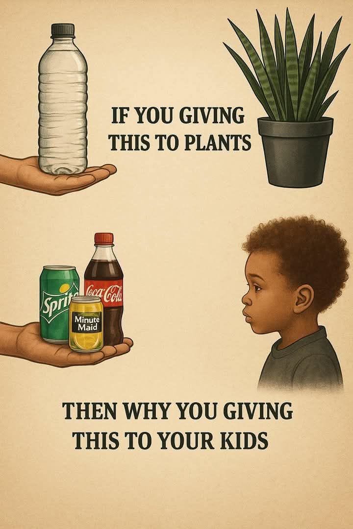 You water your plants but what are you feeding your kids? | by Unwritten  emotions | Medium