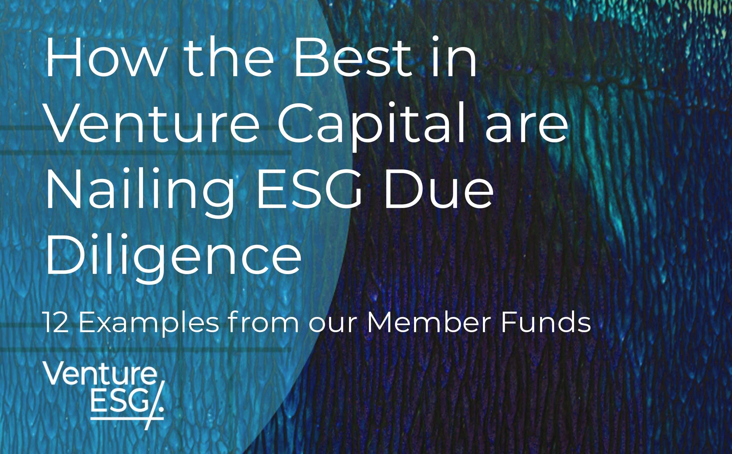 How the Best in Venture Capital are Nailing ESG Due Diligence — 12 Best  Practice Examples from our Member Funds | by The Reframe Venture Team |  Medium