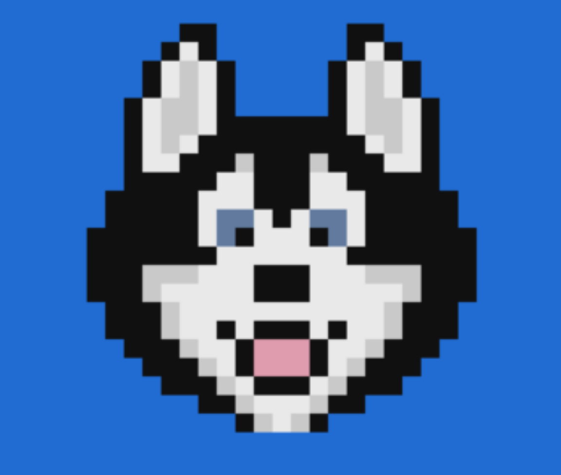Cardano Spotlight #5: Hosky. Overview: | by The Hungry Cow | The Financial  Future | Medium