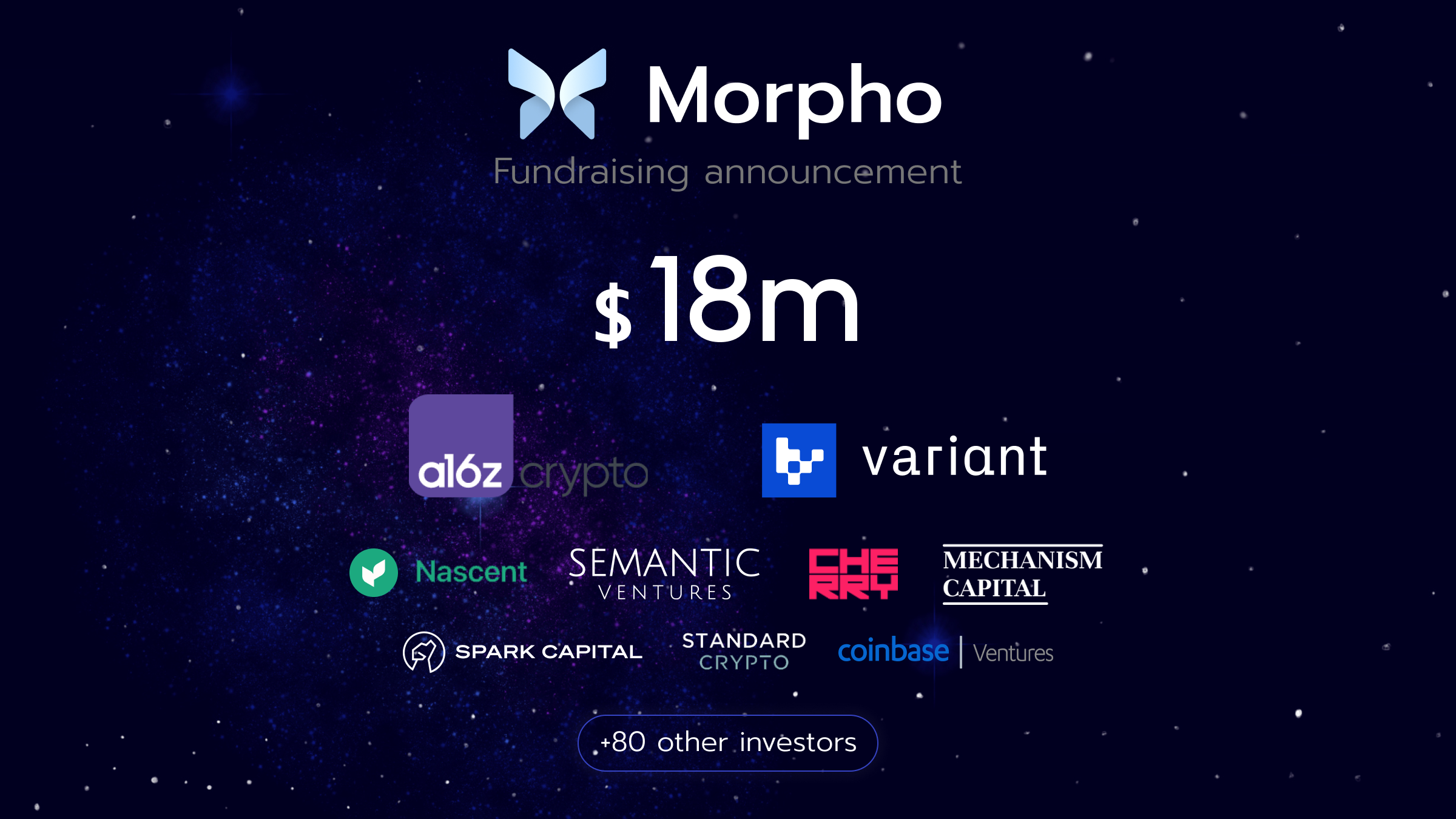 Morpho Raises $18M Co-led by a16z and Variant to Transform Decentralized  Lending! | by Paul Frambot | Morpho | Medium