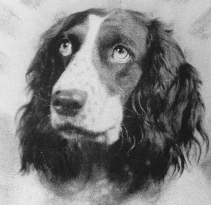 Did You Know That John Steinbeck's Dog Ate Half of his 1st Manuscript of “Of Mice and Men”? | by Herb Baker | Medium