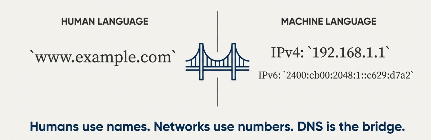The Internet's GPS: How DNS Actually Works | by Namrata | Medium
