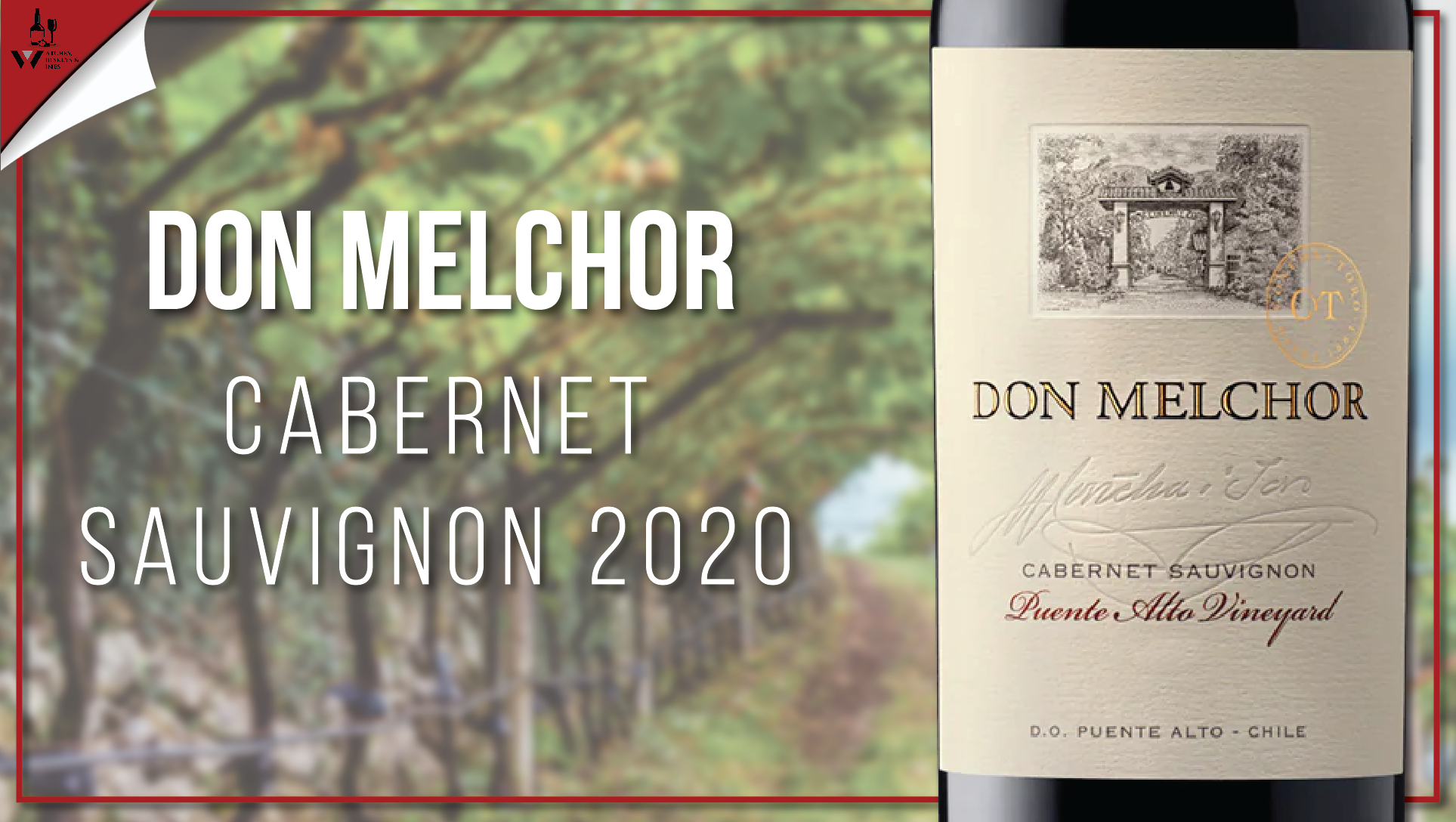 Revealing the depths of Don Melchor Cabernet Sauvignon 2020: Robb