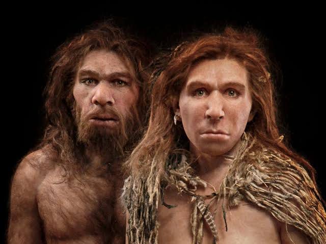 Are Modern Humans, Neanderthals and Denisovans different species? | by  Srikanth Shenoy | Medium