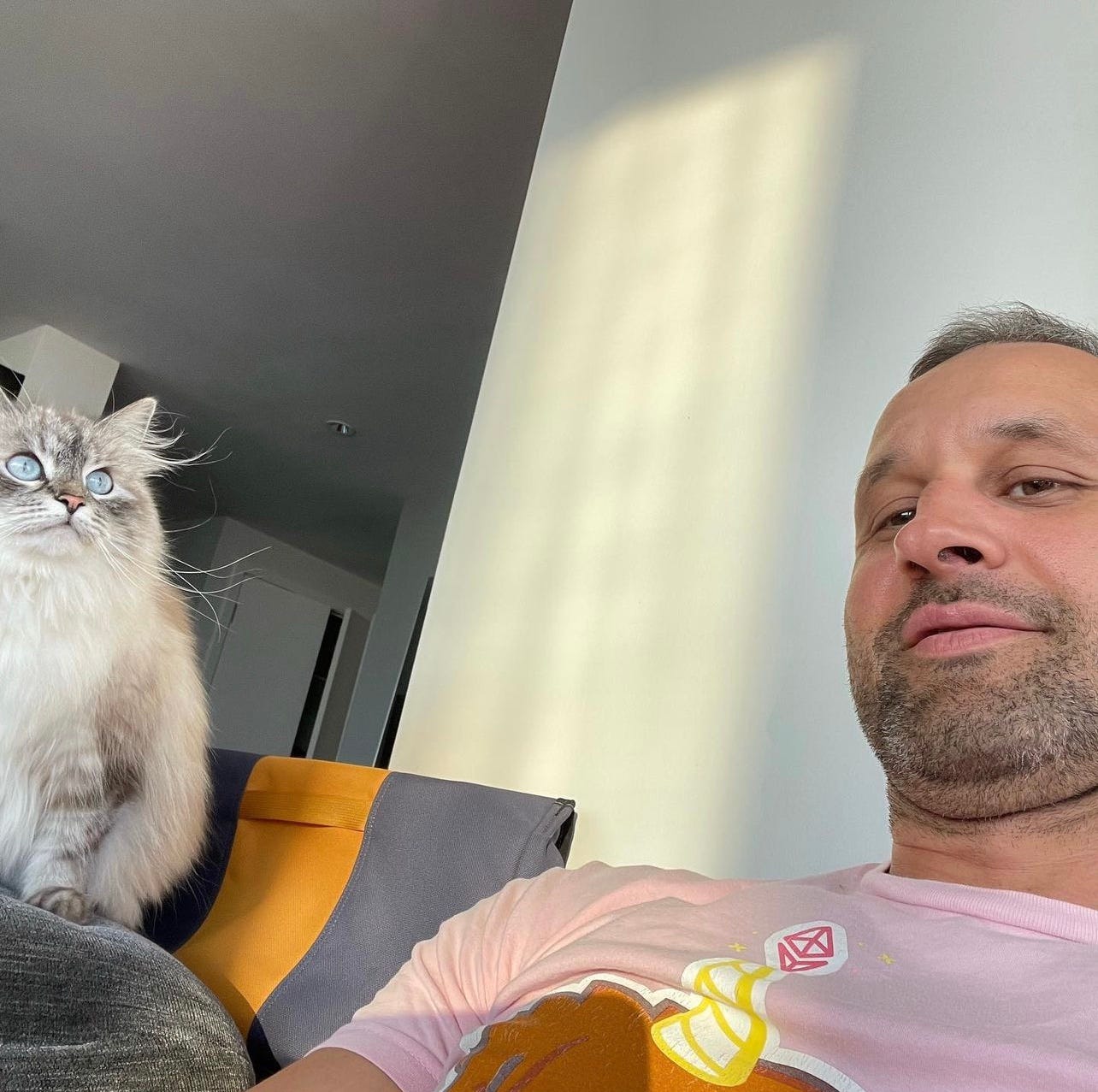 Rise of the meow , Die of the woof” | by Vitoshi Buterin | Medium