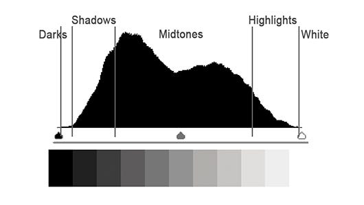 Guide to Using Camera Histogram for Night Shots: Master Exposure Easily