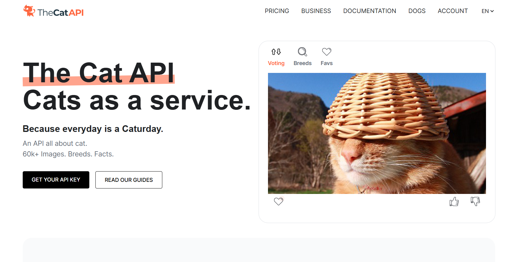 https://thecatapi.com/