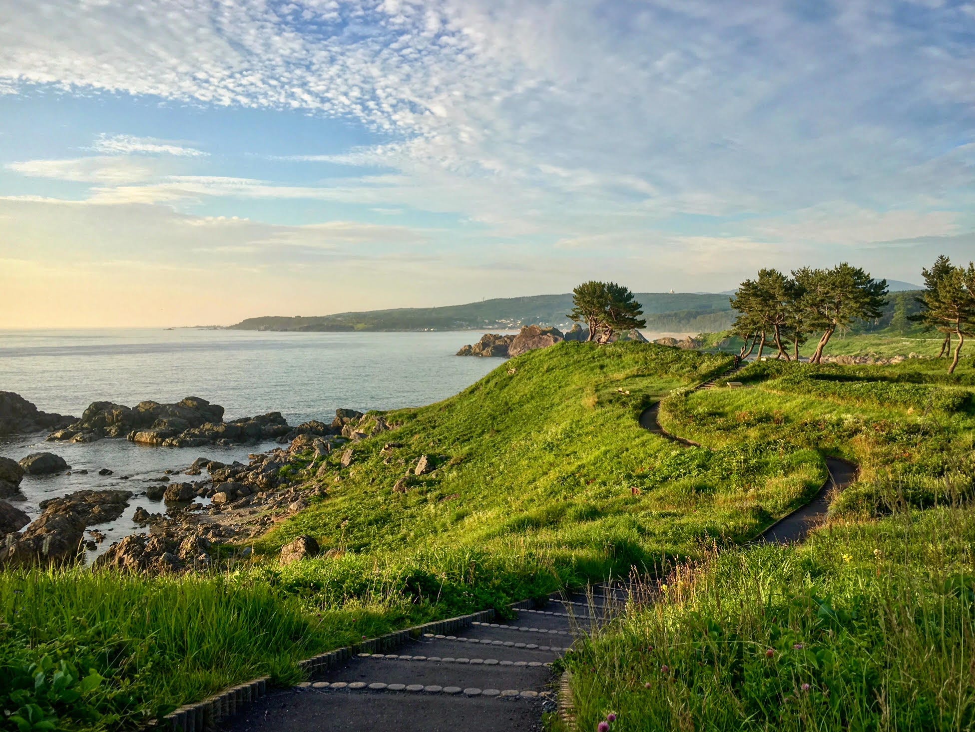 Japan's True North: Walking 600km Along Tohoku's Tsunami-affected