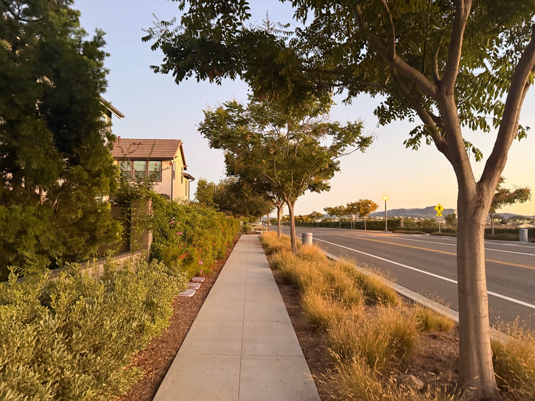 Autumn Dusk Walk. Grateful for everything | by Dr. Seema Patel