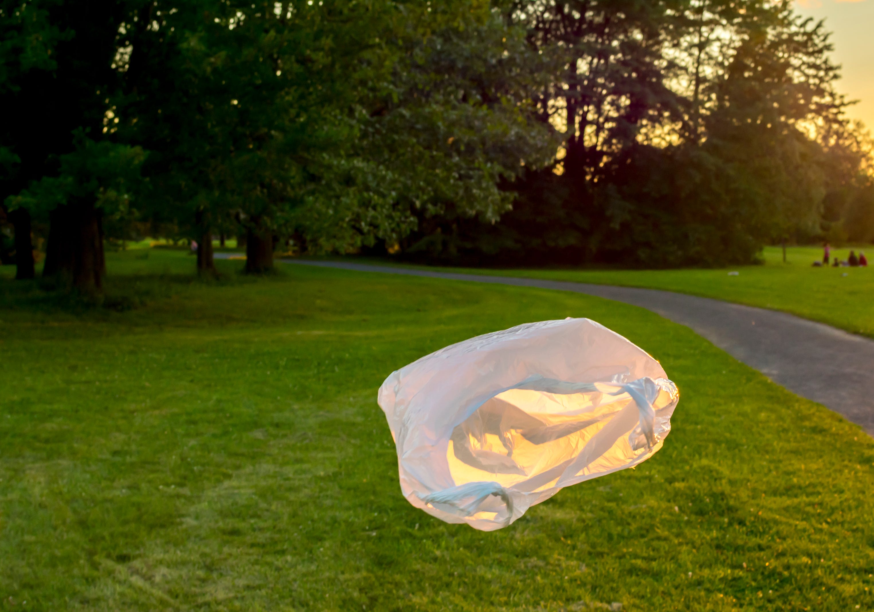 Why The Floating Bag Video Is Uplifting In Difficult Times | by Lisa  Bradburn | Medium, image size:3050x2135