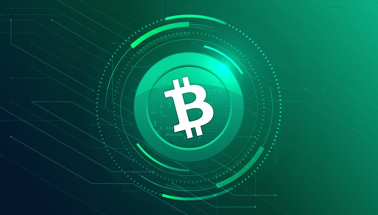 BTC vs BCH: Who is gaining popularity in the crypto world? | by Zapit |  Medium