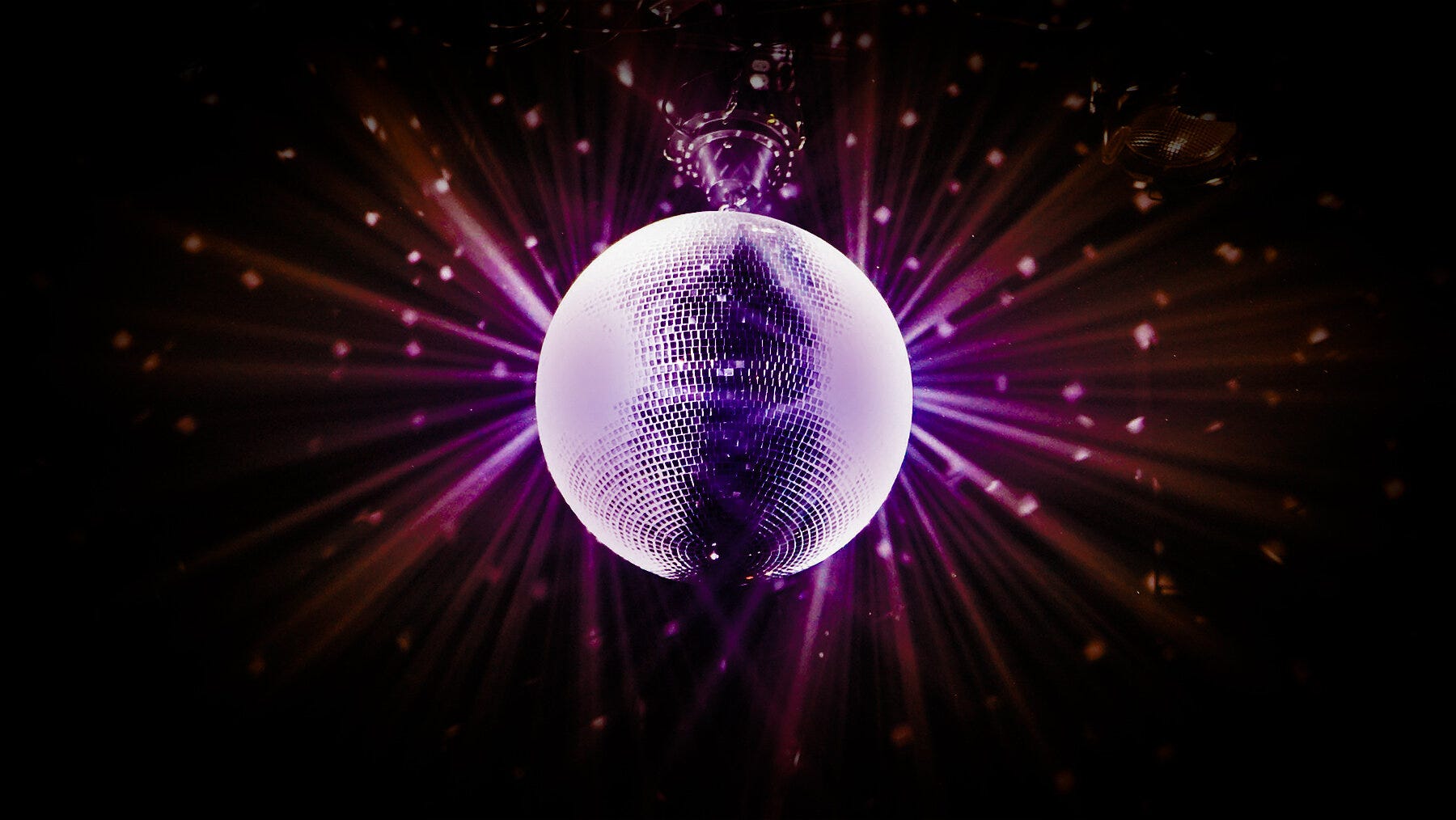 LA: Night Fever