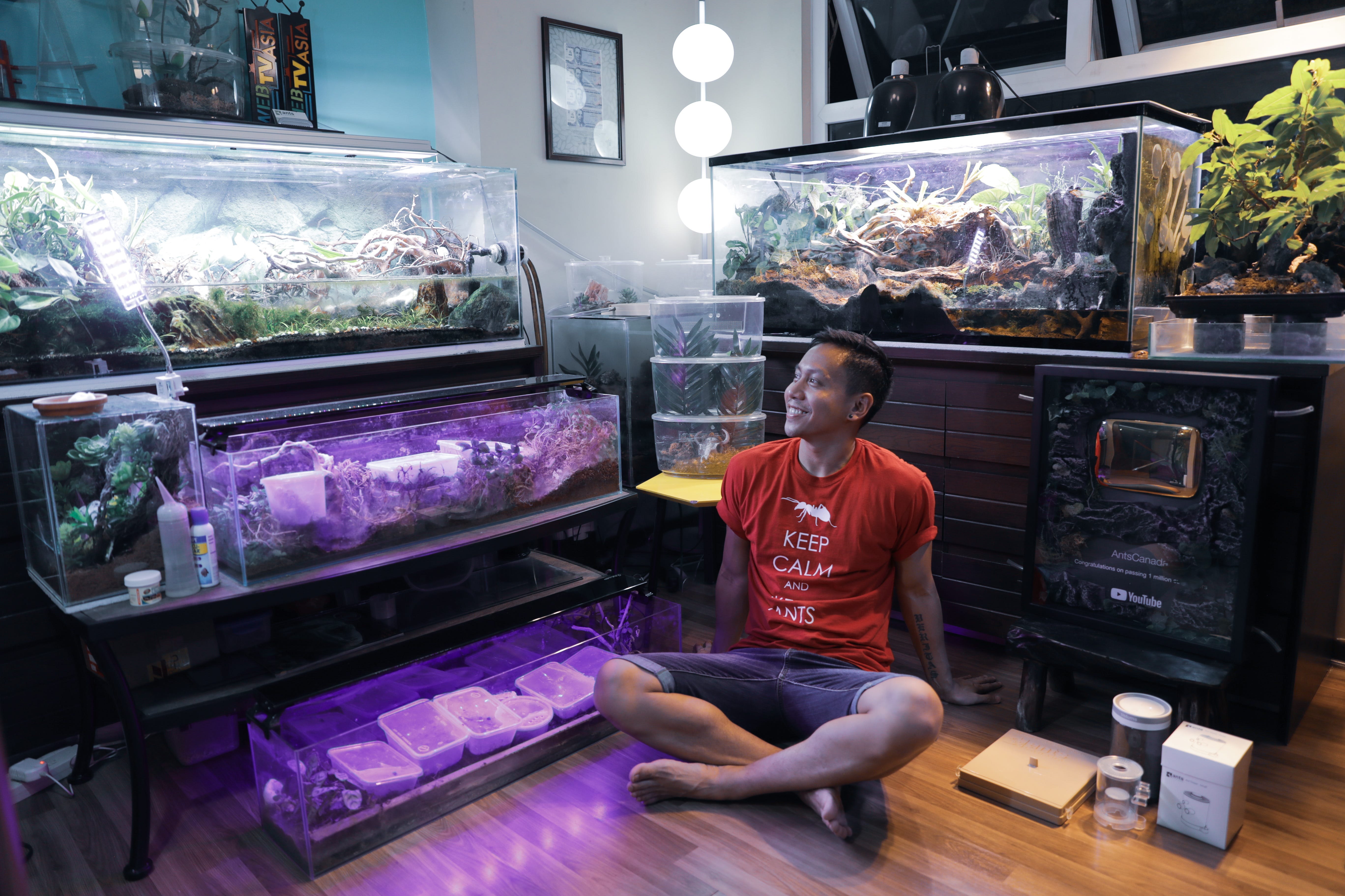 Mikey Bustos: The YouTuber Who Found Success With Ants | by Jana