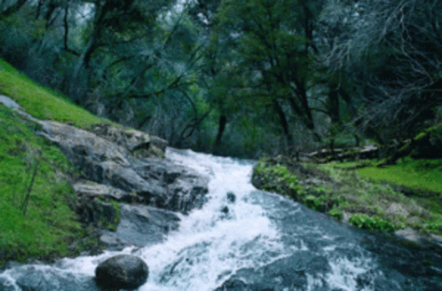 Progressive response payloads using AWS Lambda Streamed Responses and OpenAI Completions API | by Antonio Adame | Medium