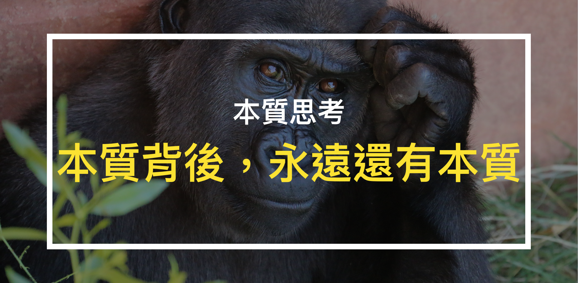 本質思考：本質背後，永遠還有本質. 對於本質的思考，似乎已經成為商業領域的Buzzword… | by 高永祺Lemon | Medium