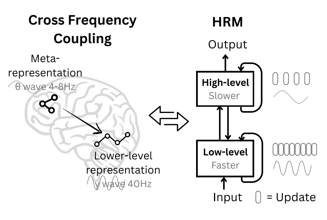 HRM: El agente de inteligencia artificial inspirado en el cerebro que está revolucionando la eficiencia del razonamiento