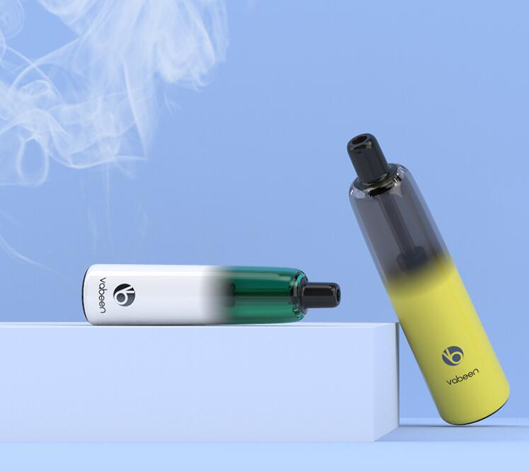 Vabeen Plum 5000 Puffs Disposable Vape Review | by Vfeel Simone | Medium