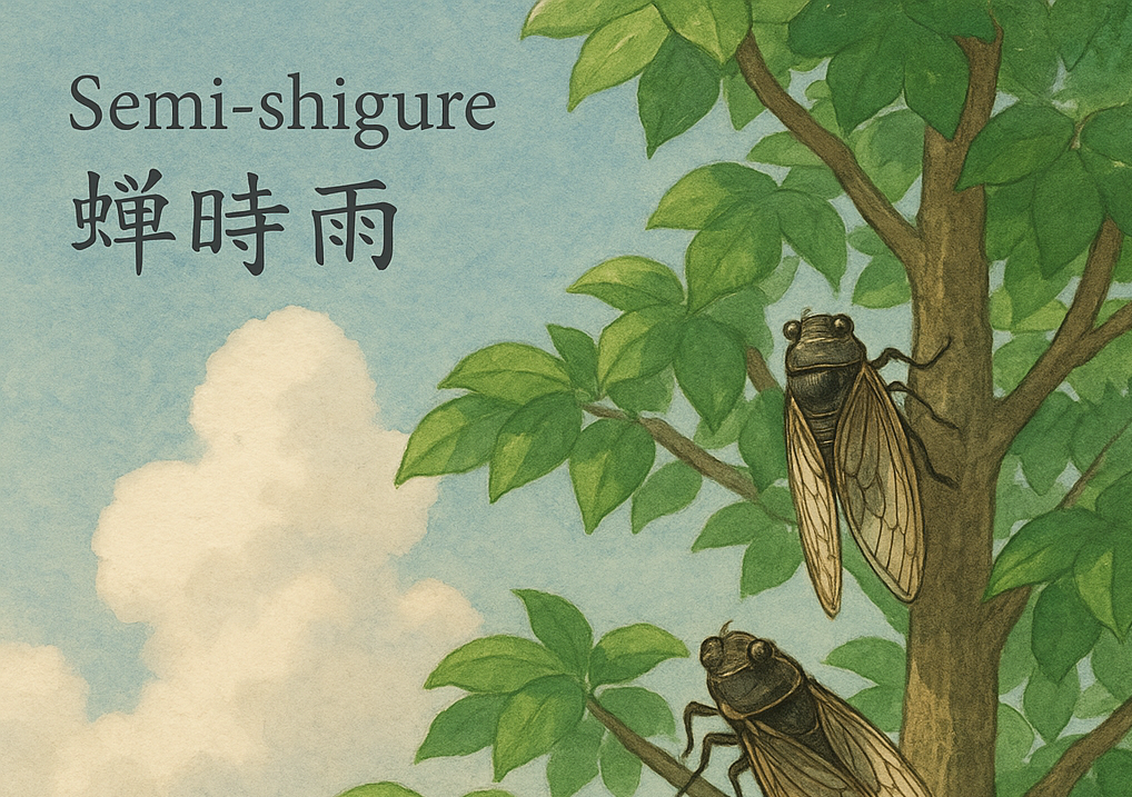 Semi-shigure(蝉時雨) — The Chorus of Summer Lives | by Japanese