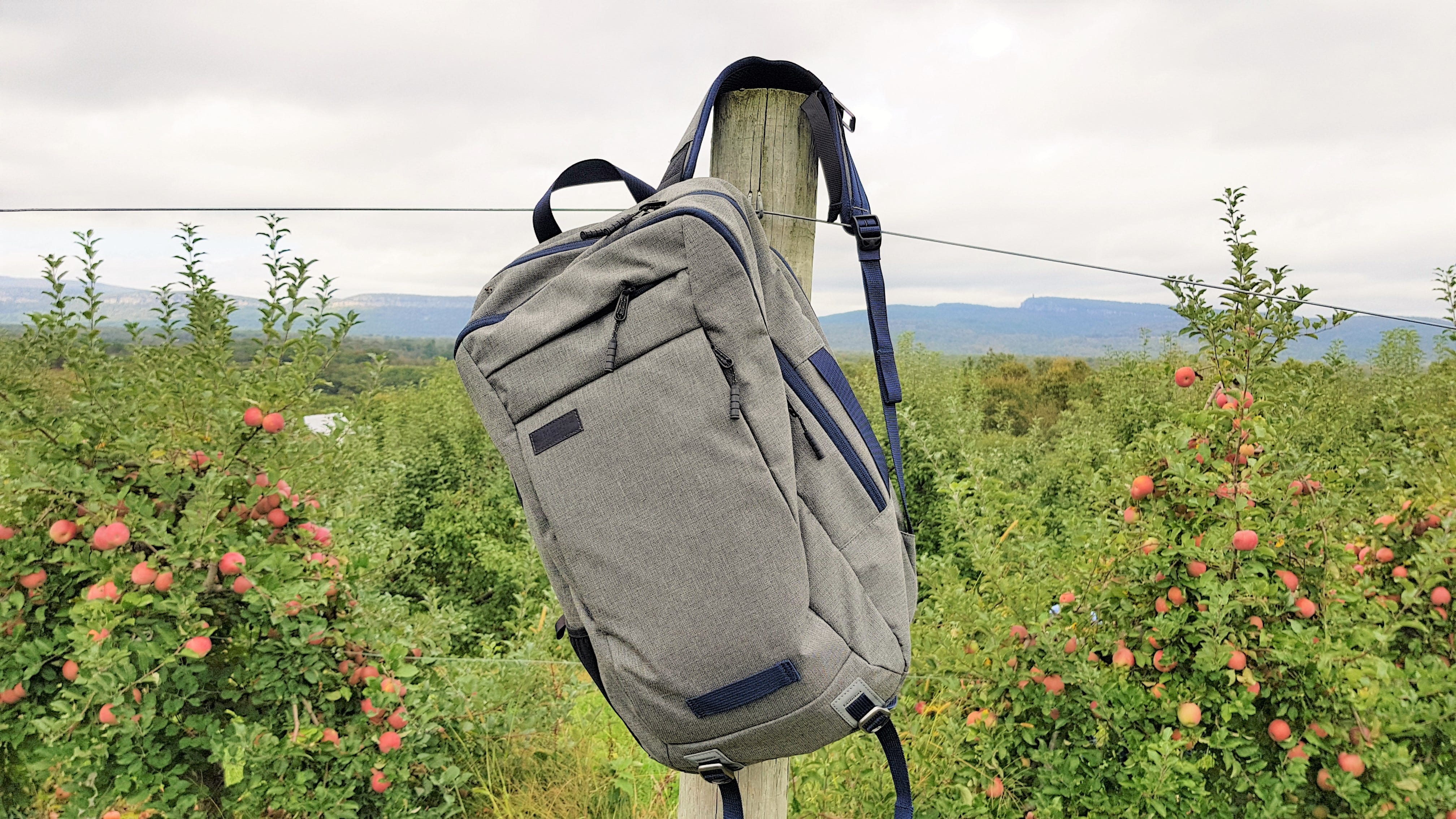 TIMBUK2 Command Backpack Review. Timbuk2 is a San Francisco-based | by  Geoff | Pangolins with Packs