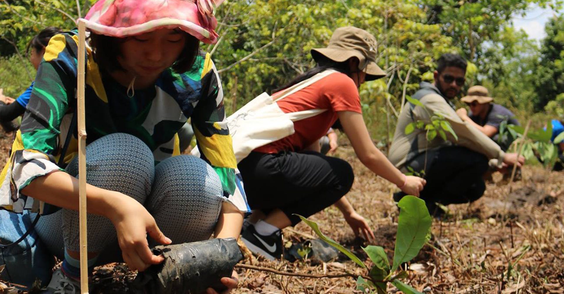 Japan Tree Relocation Japanese Tree Planting Techniques