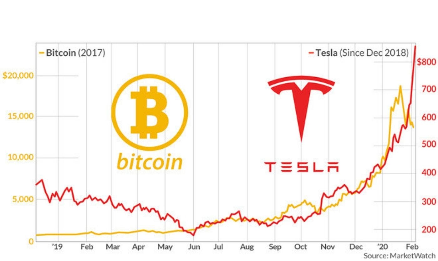 Tesla Stocks are Invading My Investment Portfolio | by Casimiro Filipe |  Live Your Life On Purpose | Medium